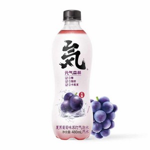 元气森林 夏黑葡萄味苏打气泡水 480ml